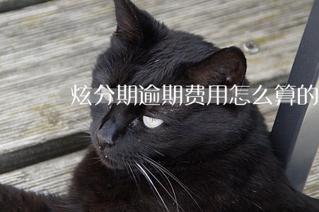炫分期逾期费用怎么算的 炫分期逾期费用怎么算的