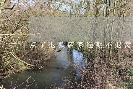 点了退款店家逾期不退需要怎么做 点了退款店家逾期不退需要怎么做