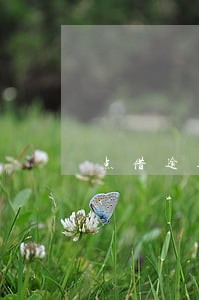 点借逾期半年 点借逾期半年