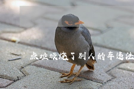 点垃圾烧了别人的车违法吗 点垃圾烧了别人的车违法吗