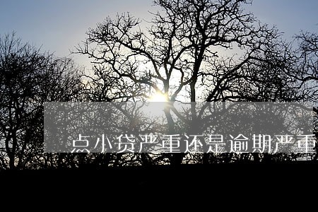 点小贷严重还是逾期严重 点小贷严重还是逾期严重
