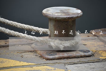 点心贷逾期不还会不会上征信 点心贷逾期不还会不会上征信