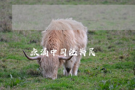 点滴中司法为民 点滴中司法为民