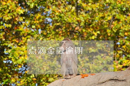 点滴金融逾期 点滴金融逾期