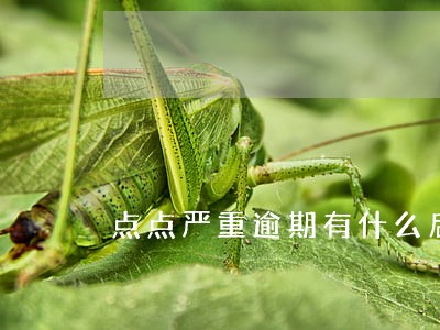 点点严重逾期有什么后果 点点严重逾期有什么后果