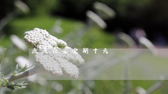 点点众安逾期十天 点点众安逾期十天