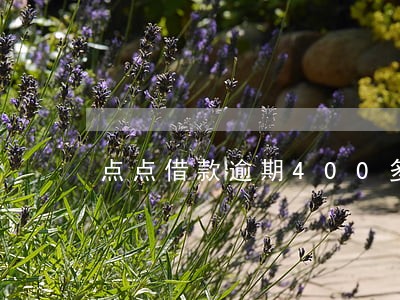 点点借款逾期400多天 点点借款逾期400多天