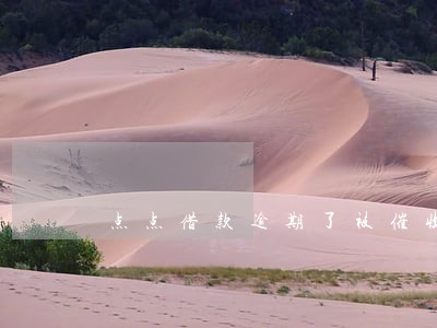 点点借款逾期了被催收了怎么办 点点借款逾期了被催收了怎么办