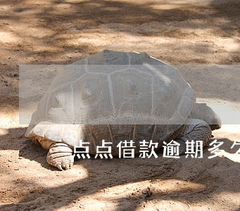 点点借款逾期多久会打电话 点点借款逾期多久会打电话