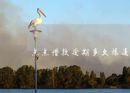 点点借款逾期多久爆通讯录 点点借款逾期多久爆通讯录