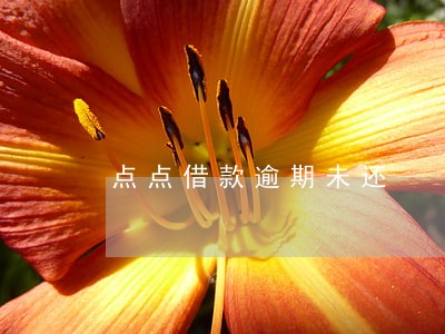 点点借款逾期未还 点点借款逾期未还