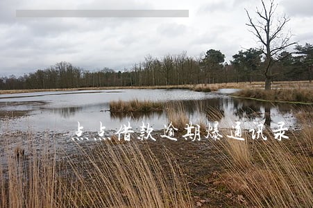 点点借款逾期爆通讯录 点点借款逾期爆通讯录