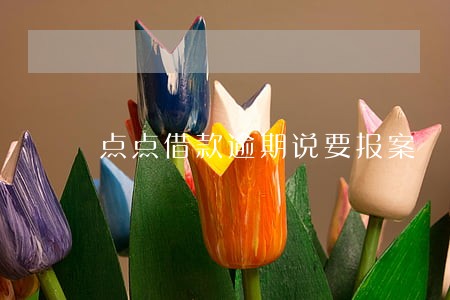 点点借款逾期说要报案 点点借款逾期说要报案