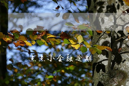 点点小金融逾期 点点小金融逾期