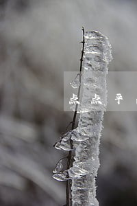 点点平台逾期几天上征信