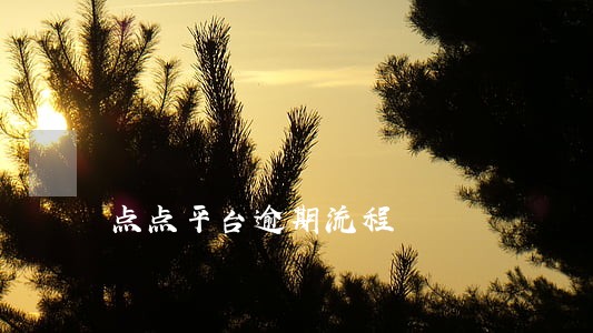 点点平台逾期流程