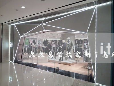 点点息借款逾期了怎么办 点点息借款逾期了怎么办