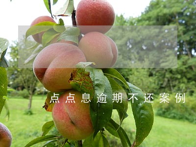点点息逾期不还案例 点点息逾期不还案例