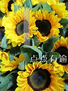点点有逾期还能借款吗