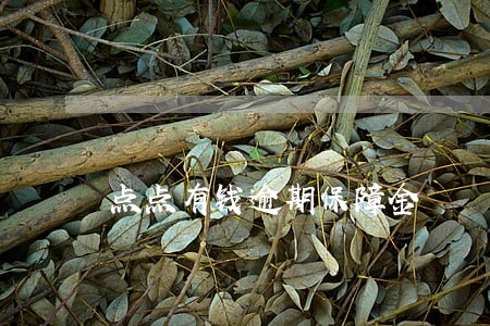 点点有钱逾期保障金 点点有钱逾期保障金