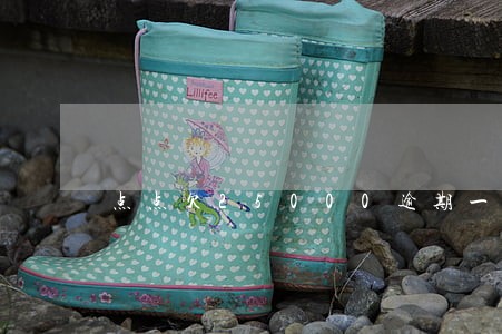点点欠25000逾期一年 点点欠25000逾期一年