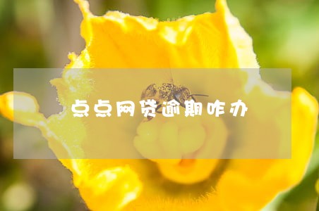 点点网贷逾期咋办