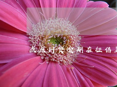 点点网贷逾期在征信显示什么 点点网贷逾期在征信显示什么