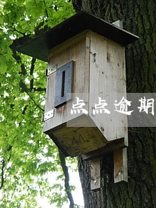 点点逾期两年了 点点逾期两年了