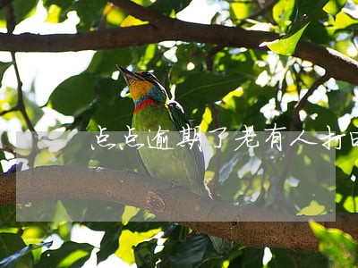 点点逾期了老有人打电话