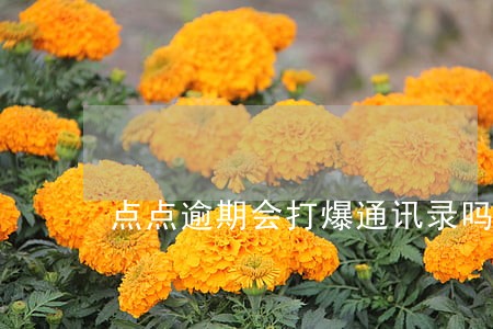 点点逾期会打爆通讯录吗