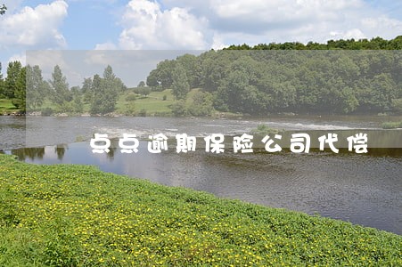 点点逾期保险公司代偿