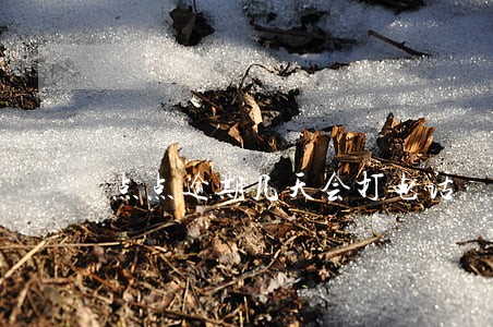 点点逾期几天会打电话