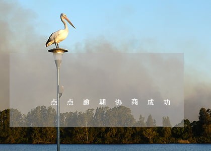 点点逾期协商成功