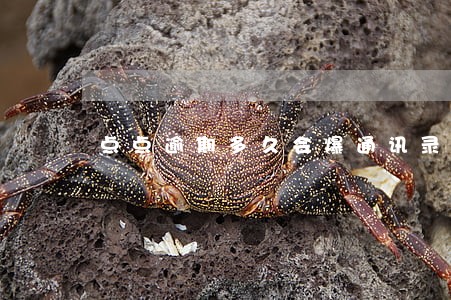 点点逾期多久会爆通讯录