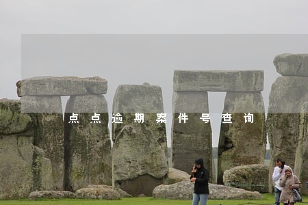 点点逾期案件号查询