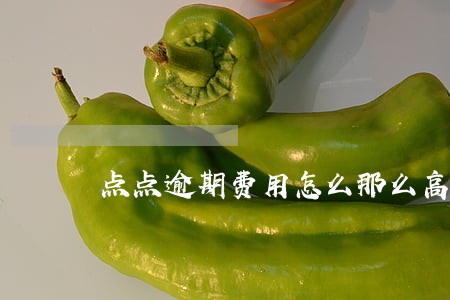 点点逾期费用怎么那么高