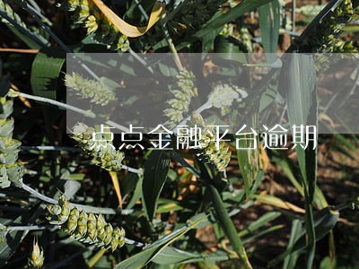 点点金融平台逾期