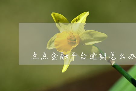 点点金融平台逾期怎么办 点点金融平台逾期怎么办