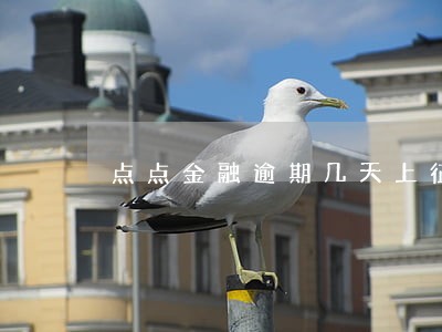 点点金融逾期几天上征信 点点金融逾期几天上征信