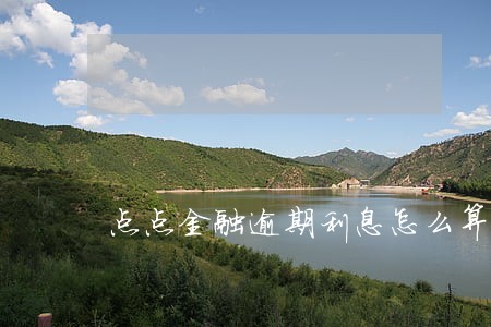 点点金融逾期利息怎么算的 点点金融逾期利息怎么算的