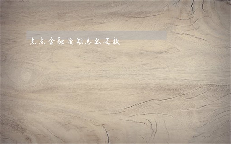 点点金融逾期怎么还款 点点金融逾期怎么还款