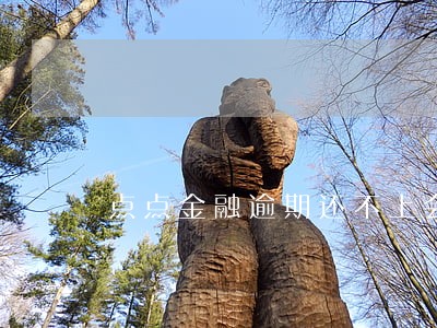 点点金融逾期还不上会怎样 点点金融逾期还不上会怎样