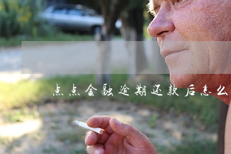 点点金融逾期还款后怎么办 点点金融逾期还款后怎么办