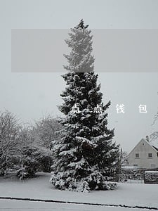 点点钱包逾期多久上征信 点点钱包逾期多久上征信