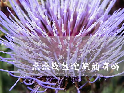 点点钱包逾期的有吗