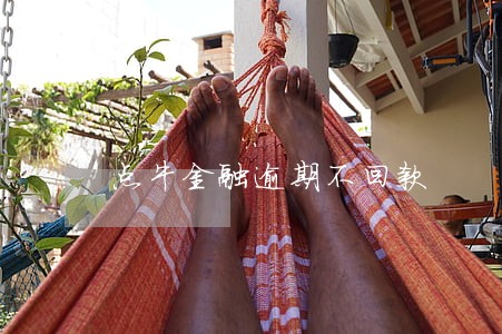 点牛金融逾期不回款 点牛金融逾期不回款
