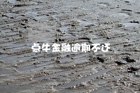 点牛金融逾期不还 点牛金融逾期不还