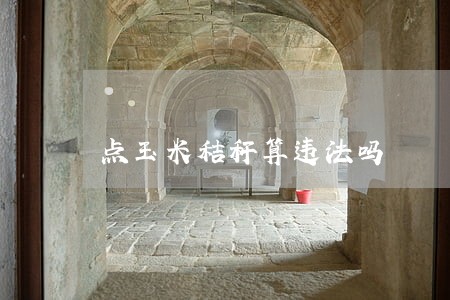 点玉米秸秆算违法吗
