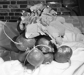点荣金融逾期 点荣金融逾期