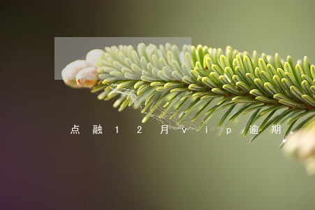 点融12月vip逾期 点融12月vip逾期